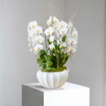 Grand Orchid Elegance