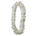 Double Orchid Lei